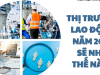 Thực Trạng Lao Động Tại Việt Nam 2025