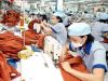 Dịch Vụ Cung Ứng Lao Động Ngành May - Giải Pháp Nhân Sự Chuyên Nghiệp